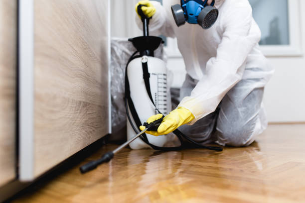 Best Emergency Pest Control  in New Paleste, IN