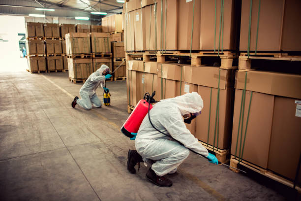 Best Best Pest Control Companies  in New Paleste, IN