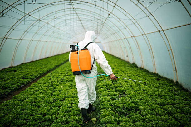 Best Affordable Pest Control Services  in New Paleste, IN