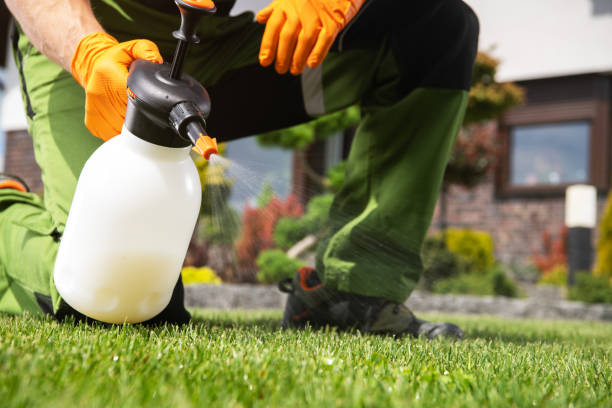 Best Mosquito Control Services  in New Paleste, IN