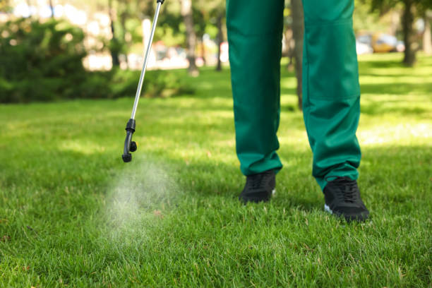 Best Wasp Removal Services  in New Paleste, IN