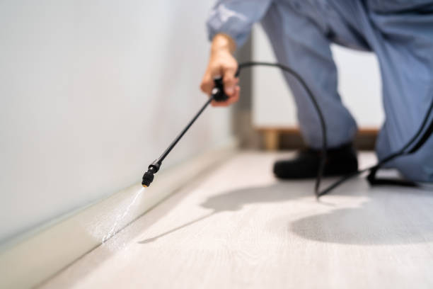 Best Pest Inspection Near Me  in New Paleste, IN