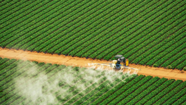 Best Commercial Pest Control Services  in New Paleste, IN
