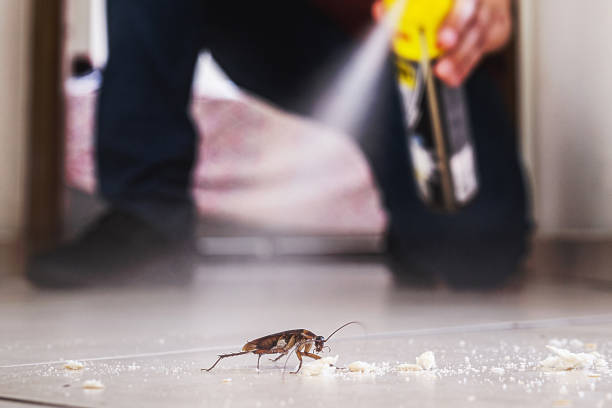 Best Cockroach Control Services  in New Paleste, IN