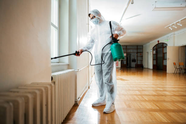 Best Pest Control Near Me in New Palestine, IN