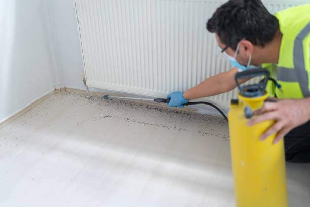 Pest Control Cost in New Palestine, IN